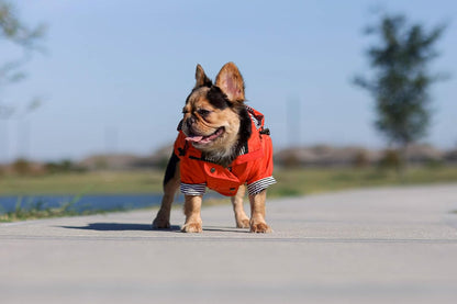 Zip up Dog Raincoats with Reflective Buttons, Pockets, Rain/Water Resistant, Adjustable Drawstring, & Removable Hood - XXS to XXL - Stylish Premium Dog Raincoats (Orange, X-Small)