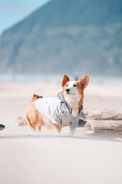 Zip up Dog Raincoats with Reflective Buttons, Pockets, Rain/Water Resistant, Adjustable Drawstring, & Removable Hood - XXS to XXL - Stylish Premium Dog Raincoats (Light Grey, Large)