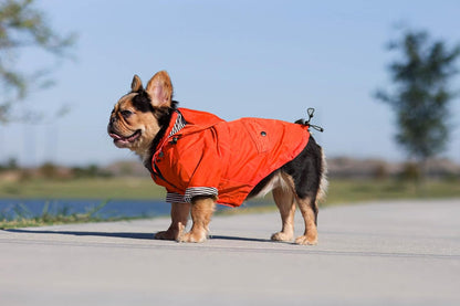 Zip up Dog Raincoats with Reflective Buttons, Pockets, Rain/Water Resistant, Adjustable Drawstring, & Removable Hood - XXS to XXL - Stylish Premium Dog Raincoats (Orange, X-Small)